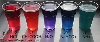 Acids, Bases & pH: Cabbage Chemistry - Yellow Scope